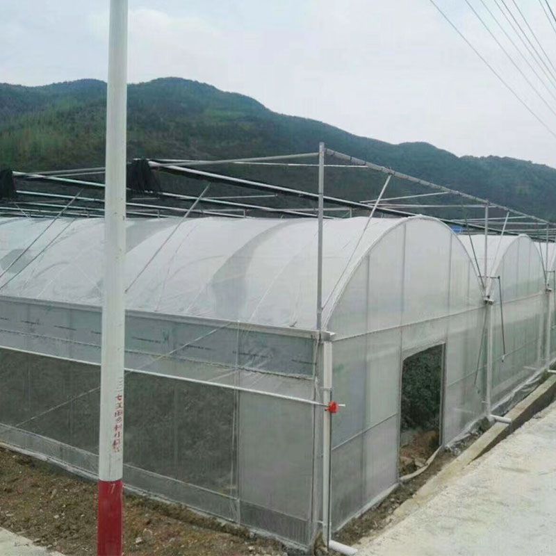 林甸外遮陽連棟大棚