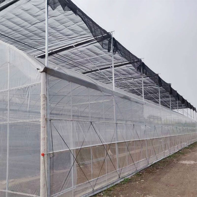 林甸外遮陽連棟大棚