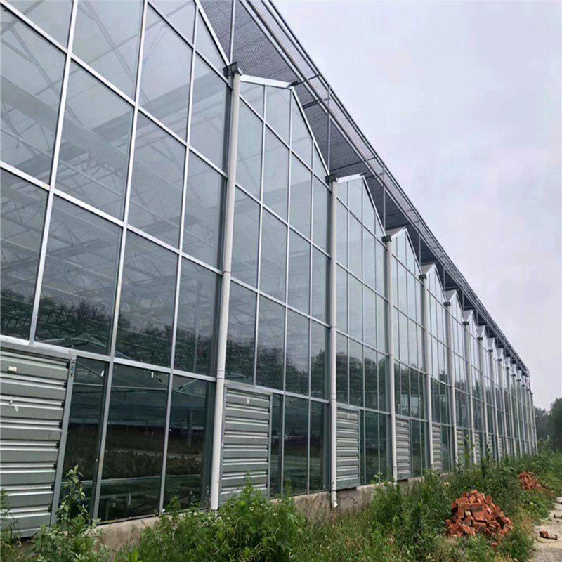 玻璃溫室