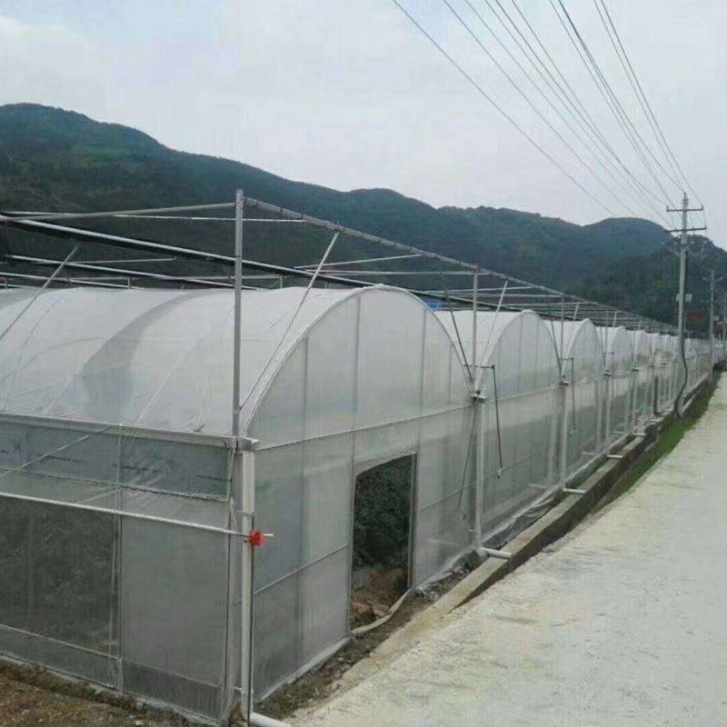 林甸外遮陽連棟大棚