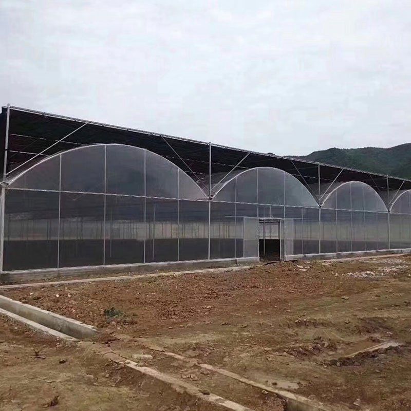 林甸外遮陽連棟大棚