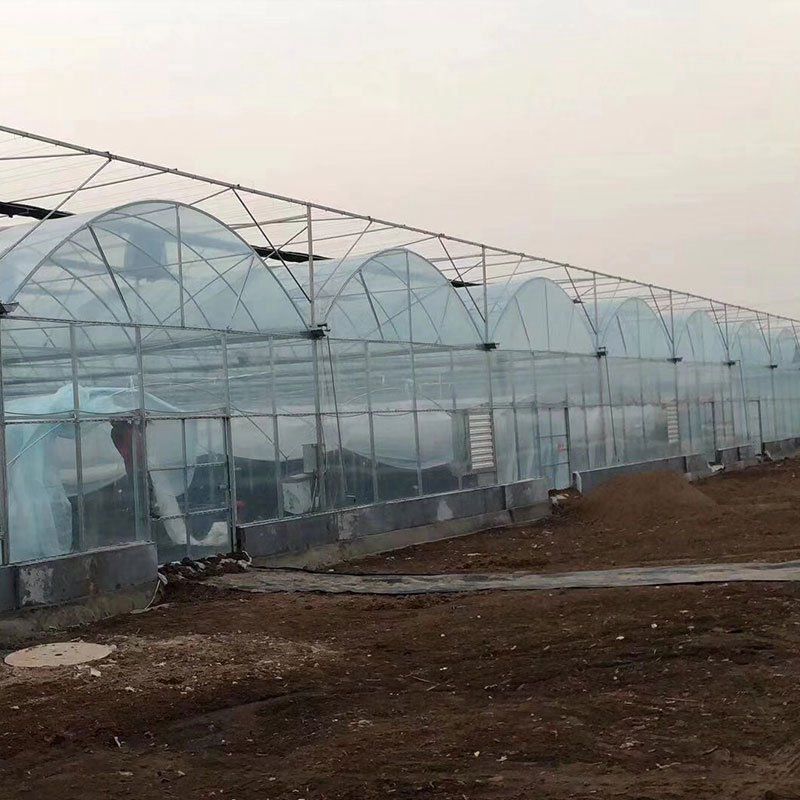 林甸外遮陽連棟大棚