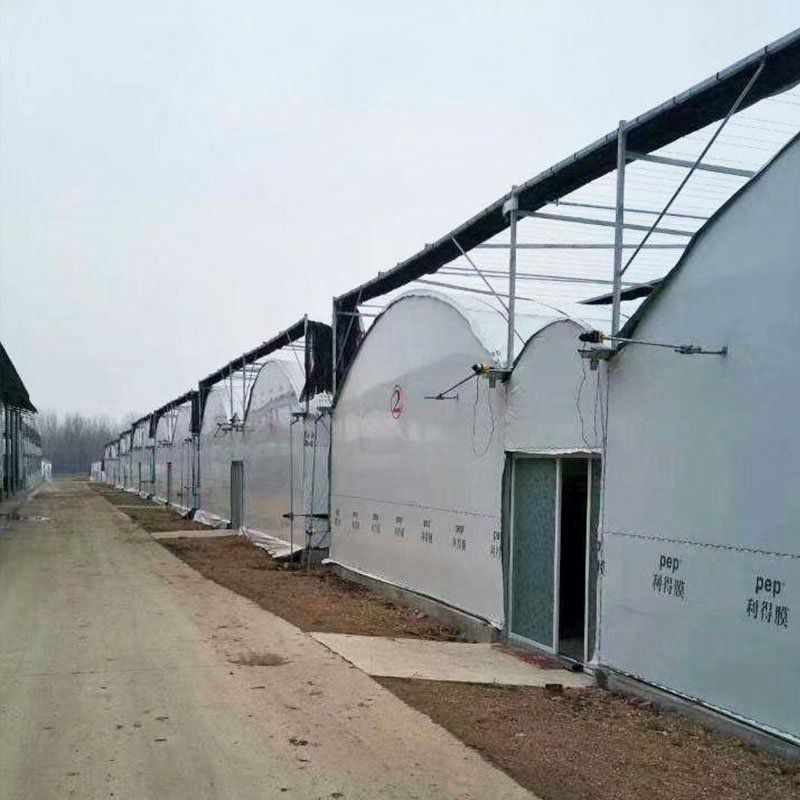 林甸外遮陽連棟大棚